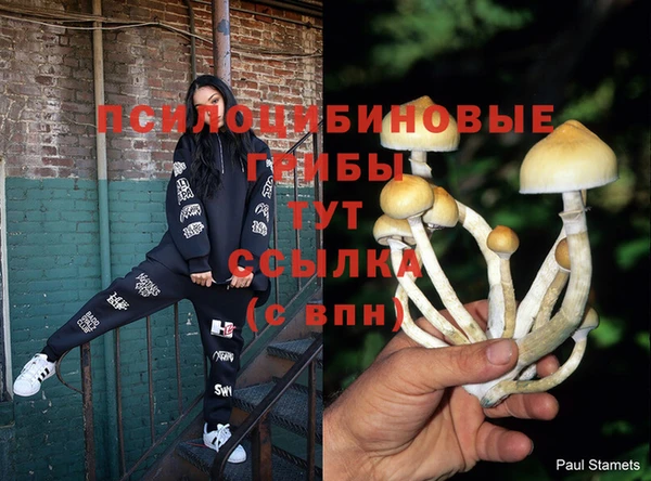 прущая мука Володарск