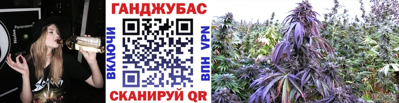 Марихуана конопля  Георгиевск 